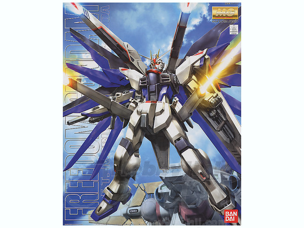 1/100 MG Freedom Gundam