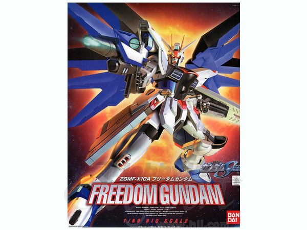 1/60 Freedom Gundam
